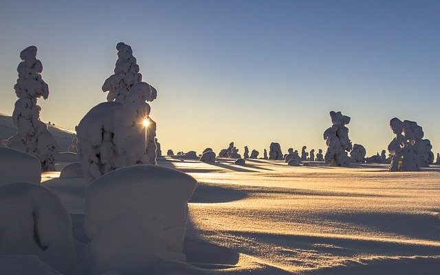 Comment organiser un voyage en Laponie ?