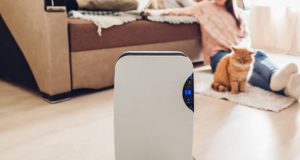 Pourquoi l’utilisation d’un humidificateur d’air est-elle importante pour la santé ?