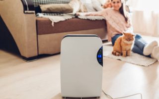 Pourquoi l’utilisation d’un humidificateur d’air est-elle importante pour la santé ?