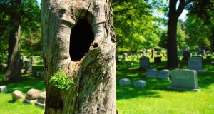 Funelior.fr : des plaques funéraires sur mesure pour un hommage unique