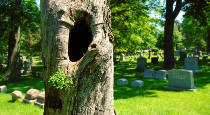 Funelior.fr : des plaques funéraires sur mesure pour un hommage unique